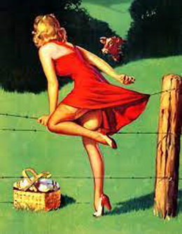 Pinup Photos