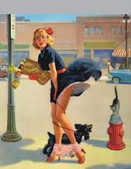 Pinup Photos